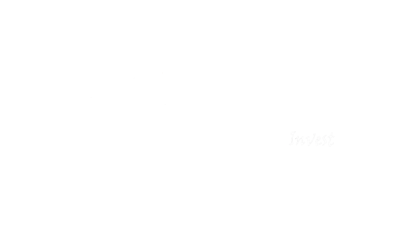 Pikon Opus Invest